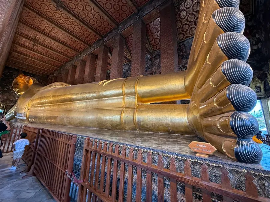 タイでの活動の様子